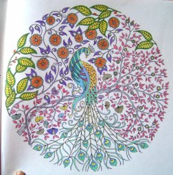 An example of a design from a coloring book. 