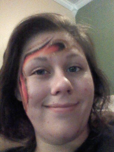 I got my face painted at the county fair.