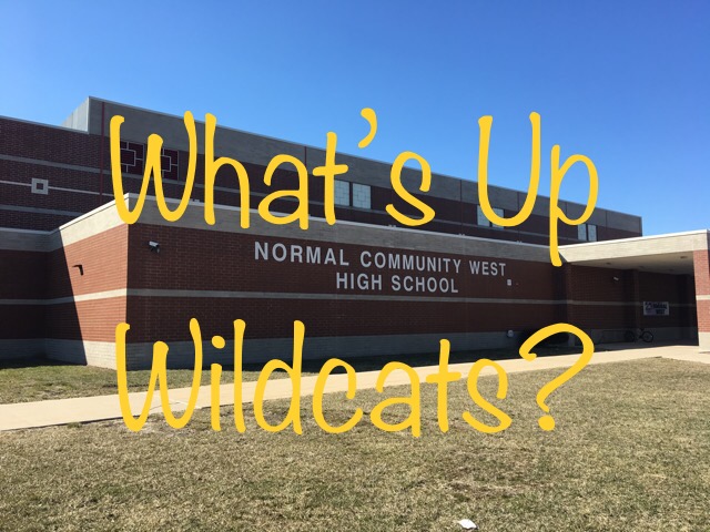 Check out the new Whats Up Wildcats!