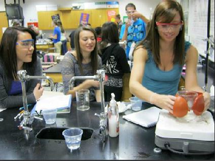 Students in Mrs. Tomlin's Molecular and Structural Biology class, performing a lab to determine how enzyme activity is affected by heat. Photo courtesy of Normal West Science Department.