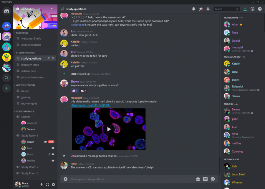 Discord was used by many students to keep in touch with friends, both online and in person.
