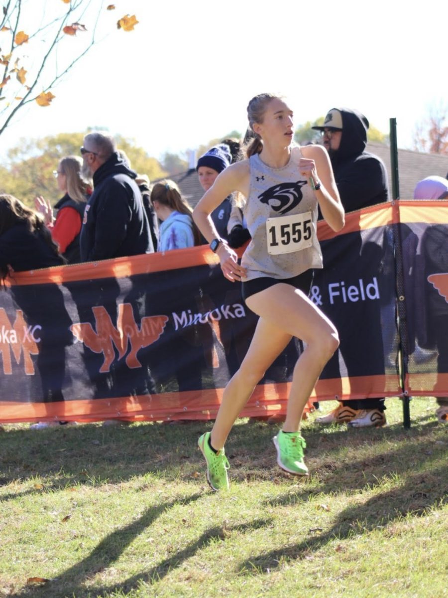 The Lady Wildcats are set to take off in the 2024 IHSA Sectional Race on Saturday, November 2. Junior Renee Warren has been a workhorse for the Cats all season. She, along with her sister Amanda and good friend Julie Bach, have a strong chance at qualifying for this year's state race. 