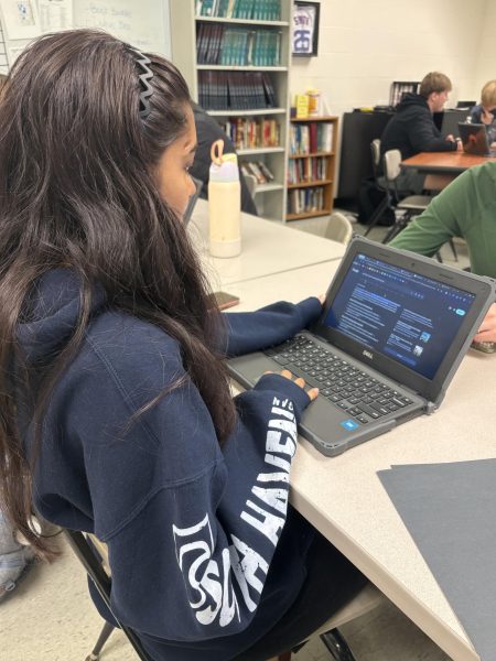 It is no secret that AI use is making its way into many areas of our lives...including and especially in our educational world. Above, Senior Ayushi Patel makes a simple Google search, which prompts an AI response at the top of the search. To continue to educate students on the ever-evolving world of technology and information landscape, Unit 5's AI Task Force is setting out to continue conversations around AI Literacy with its students.